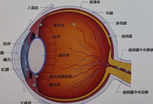 全激光治疗近视需要多少钱？市场价7000也是比较早的一类激光近视眼手术方式！