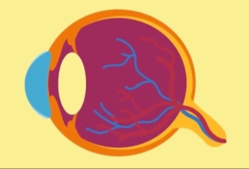 麦迪格眼科做视力矫正怎么样？各地区麦迪格眼科医院近视矫正都有非常好的反馈！