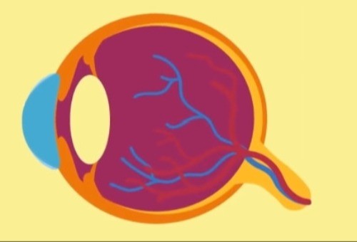 华厦眼科做近视手术价格是多少？全飞16700 晶体手术28500