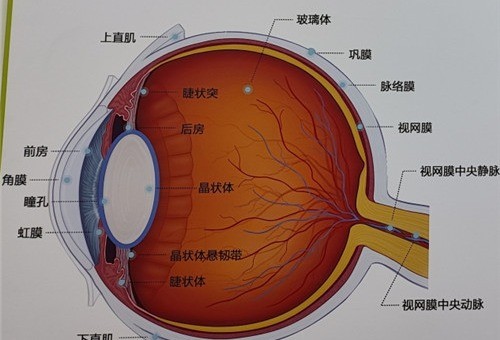 三焦点晶体植入一只眼多少钱？看2024年三焦点晶体植入手术价格表！