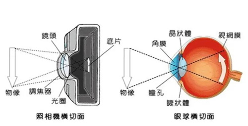 近视眼成像示意图