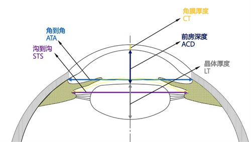 术前检查