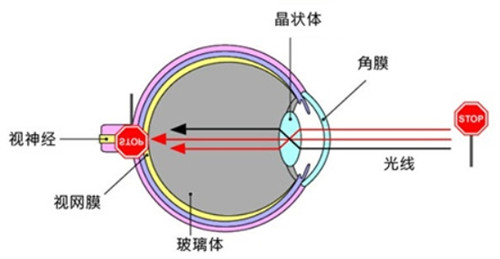 眼球成像原理图