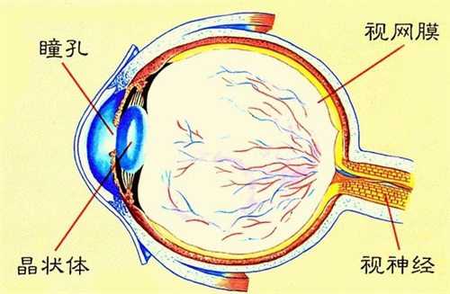 邱培瑾医生做近视手术怎么样?屈光专科医生经验技术都可靠!