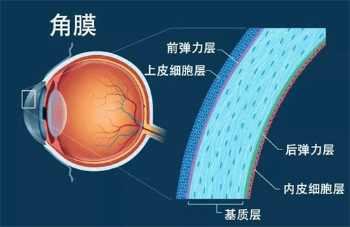 眼角膜480是不是太薄？来看看角膜厚度多少可以做近视手术