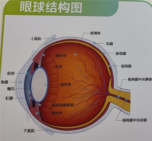 全激光近视眼手术价格是多少 手术方式多价格上下区间也大