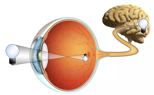 视光成像原理图