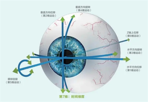 眼球结构图