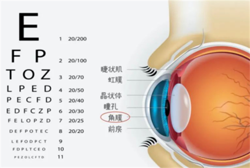 良心科普:速来了解斜视手术后多久能恢复正常眼位!