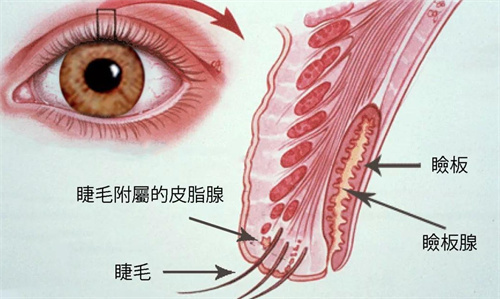 去医院看眼科的流程详解:去眼科检查眼睛的流程/攻略/预约方式全都有!