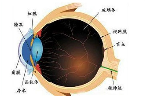 继发性青光眼