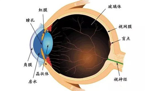 朝聚眼科医院价格表盘点公示!点击免费查:验光配镜,近视手术,白内障治疗收费标准~