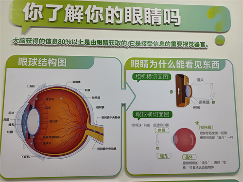 艾视星近视防控真的有用吗?有用,属于中高端档次级别近视防控品牌!