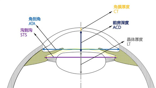 角膜厚度